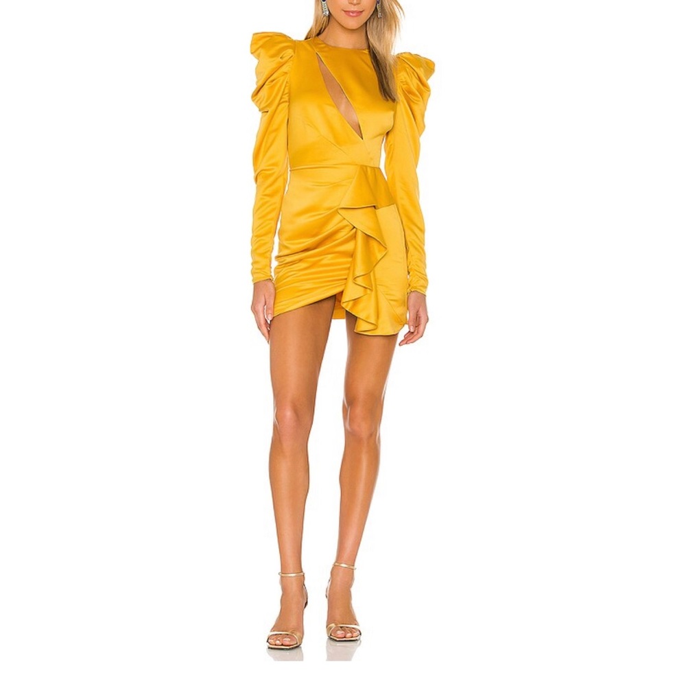 Michael Costello x Revolve Dress